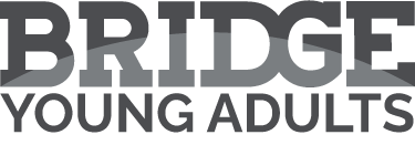 Bridge Young Adults Span Gray